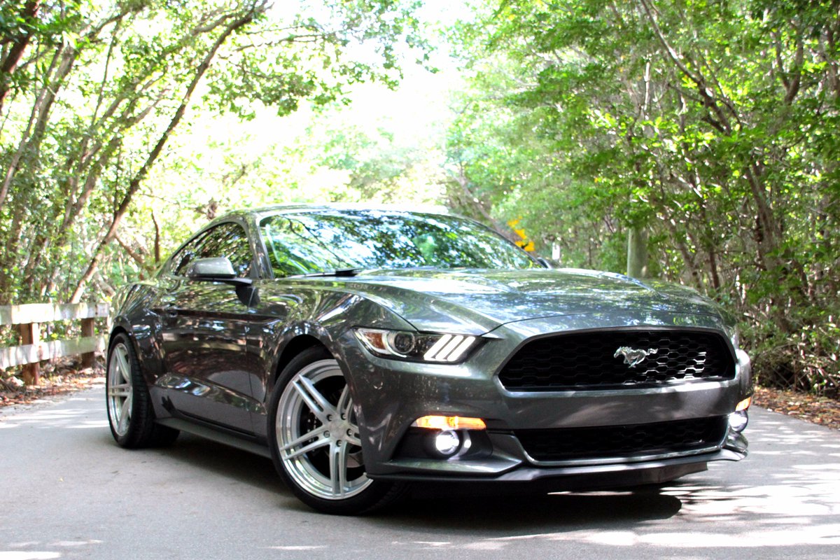 CaninoDesign's tweet photo. 2016 Mustang sittin' on 2-piece forged Canino Design CD5s #canino #canionodesign #caninowheels #cbwheels #mustang #fordmustang https://t.co/6g0uMqpBHp