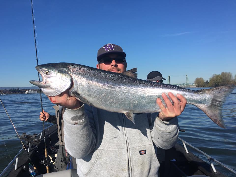 LunkersGuide's tweet image. 2017 Columbia River Fishing Report lunkersguide.com/2017-columbia-…