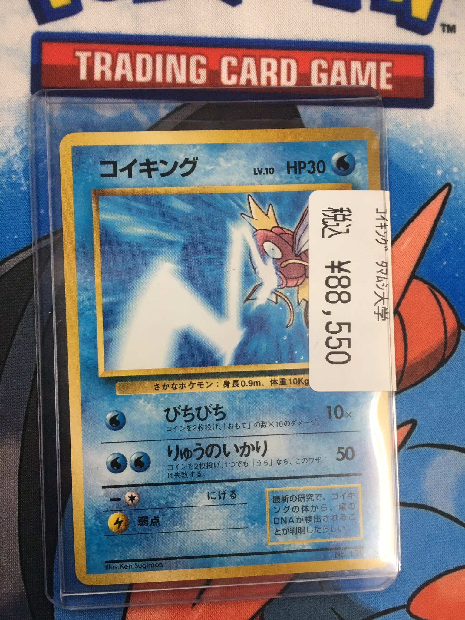 ポケモン タマムシ大学 コイキング バッジ- ポケモン タマムシ大学 コイキング バッジ-