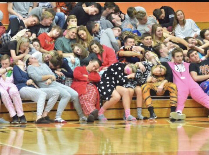 KENNEL CLUB tweet media