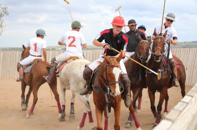 tech_polo's tweet photo. Stop by the SUB tomorrow from 9:30-4 to meet one of our horses and learn how to get involved in TTU Polo! https://t.co/8VGNEsLYxE