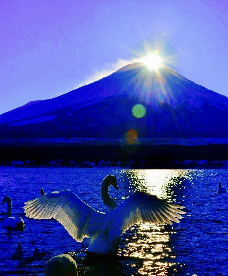 Faith is the bird that feels the light and sings when the dawn is still dark.
~ Rabindranath Tagore