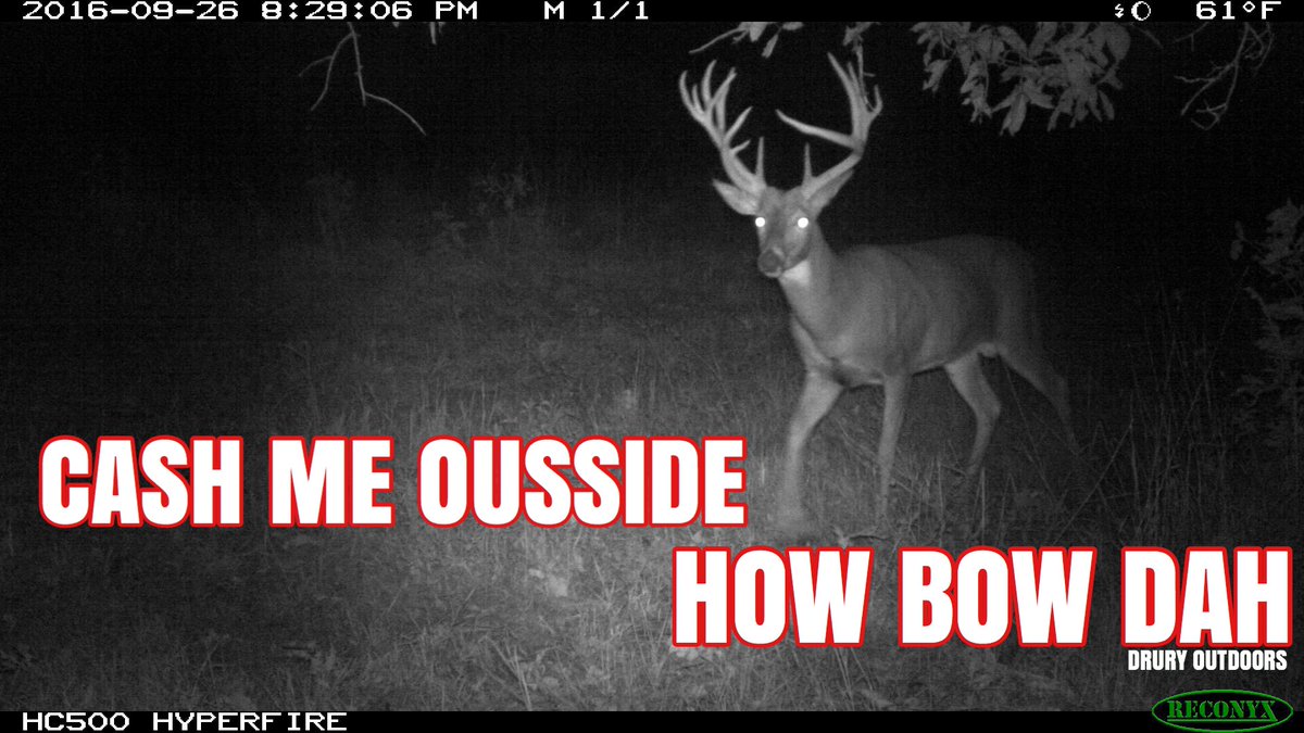 DruryOutdoors's tweet photo. We plan to... π #2017Memes https://t.co/hY8Vqs3Ben