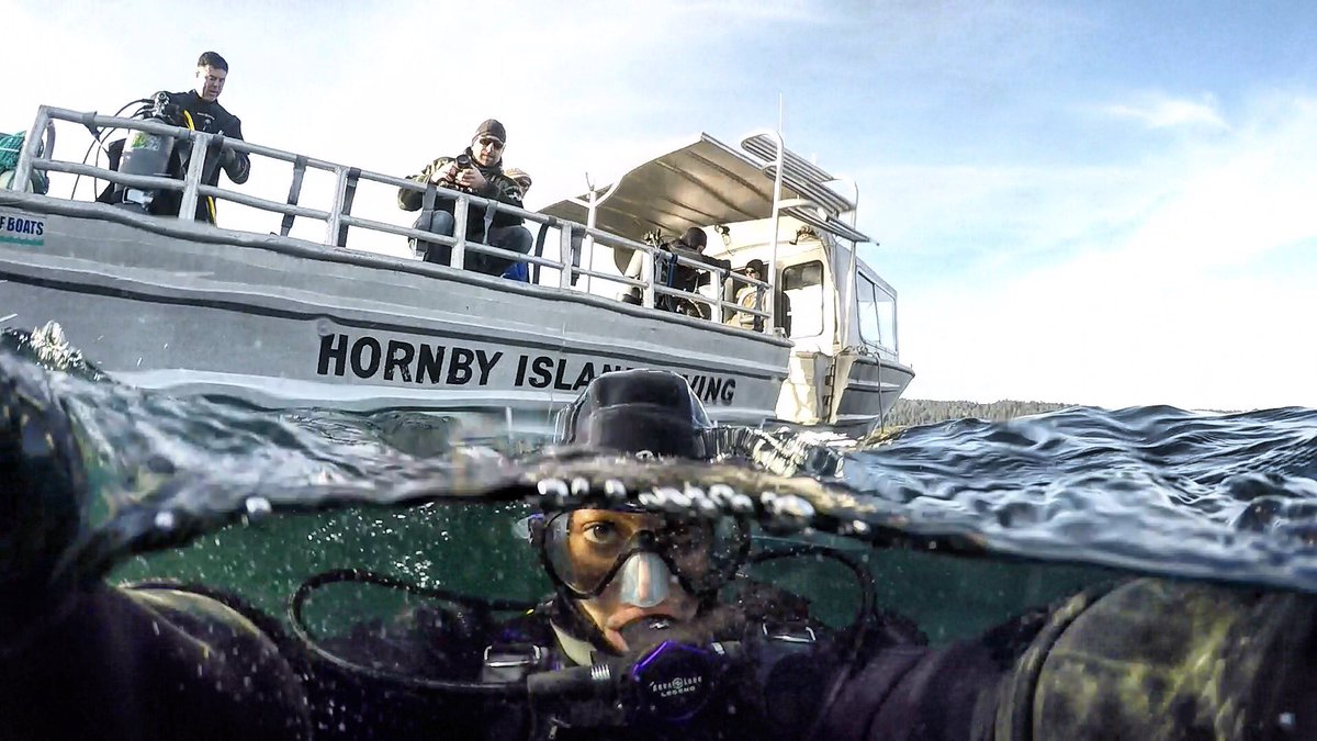 TabithaLipkin's tweet photo. Diver Selfie. ππ½ππ
@AquaLungDivers @GoPro
#HornbyIslandDiving #ColdWaterDiving #AquaLungDiveTeam #AquaLung #Selfie #DiveMasterTabitha https://t.co/dUdrBLTh3N