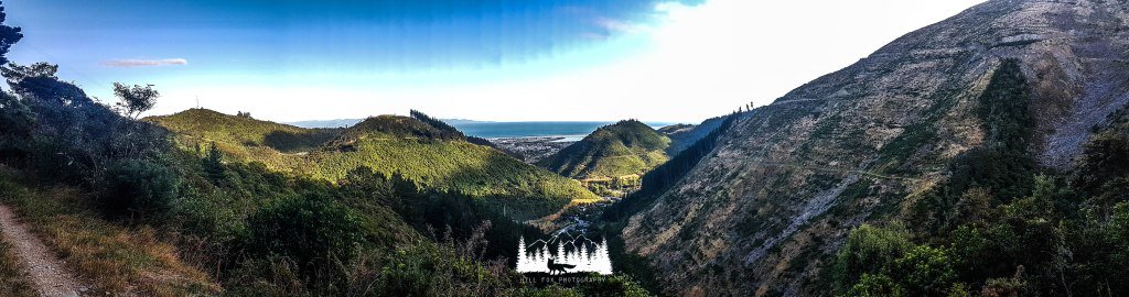 hillfox6's tweet photo. Exploring Dun Mountain https://t.co/fwjIHBO9RM https://t.co/VXzwY0wPvO