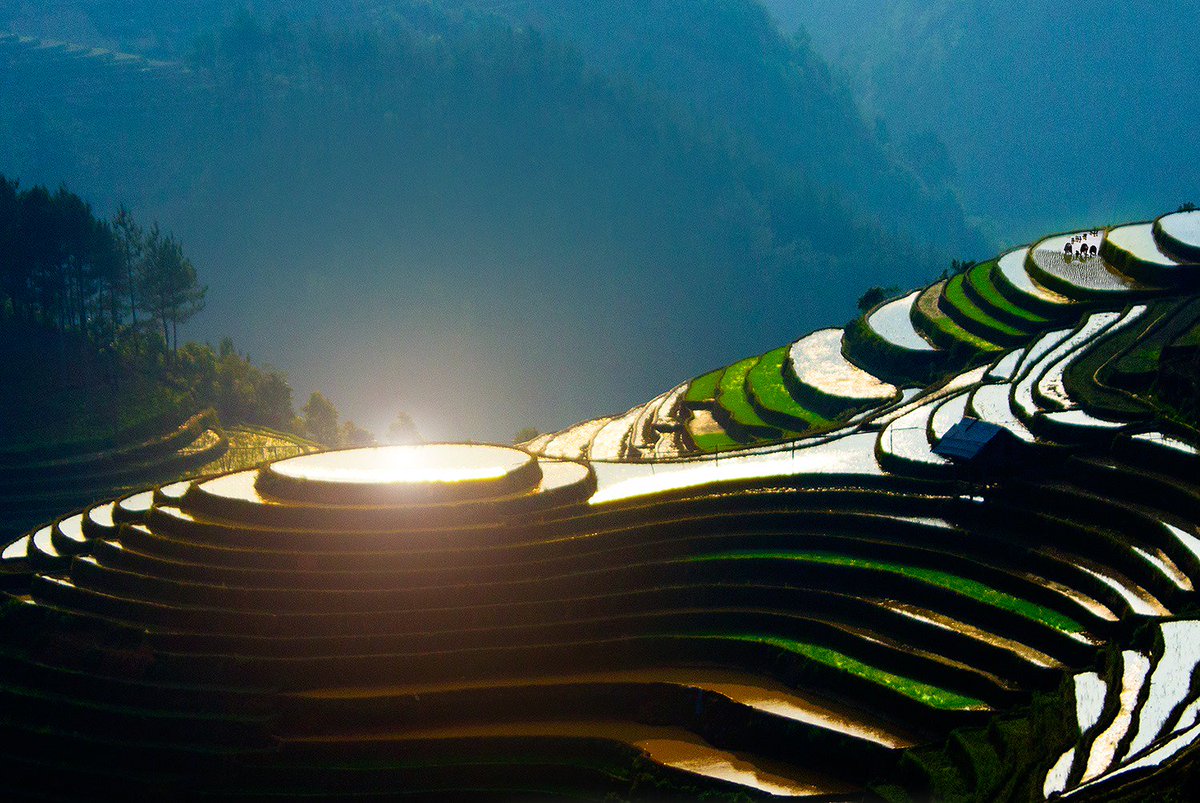 VietnamTypical's tweet photo. Mu Cang Chai with the spectacular rice terraces: https://t.co/tXyJker2fW
<3 <3 <3
#MuCangChai #FamousDestination #riceterracesinVietnam https://t.co/J654bFZvbO