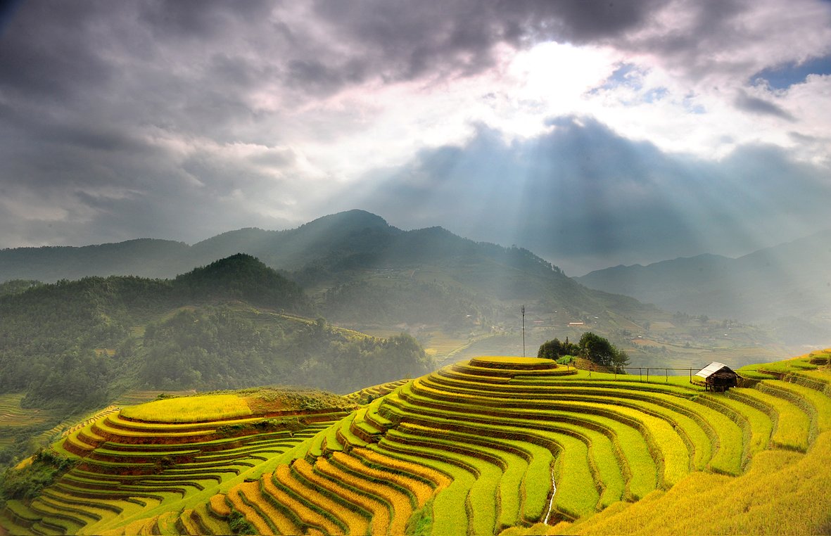 VietnamTypical's tweet photo. Mu Cang Chai with the spectacular rice terraces: https://t.co/tXyJker2fW
<3 <3 <3
#MuCangChai #FamousDestination #riceterracesinVietnam https://t.co/J654bFZvbO