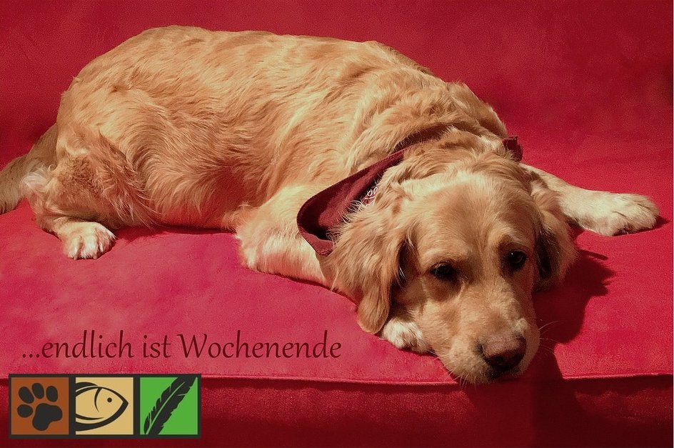 Wir wünschen euch einen guten Start ins Wochenende liebe Tierfreunde :)