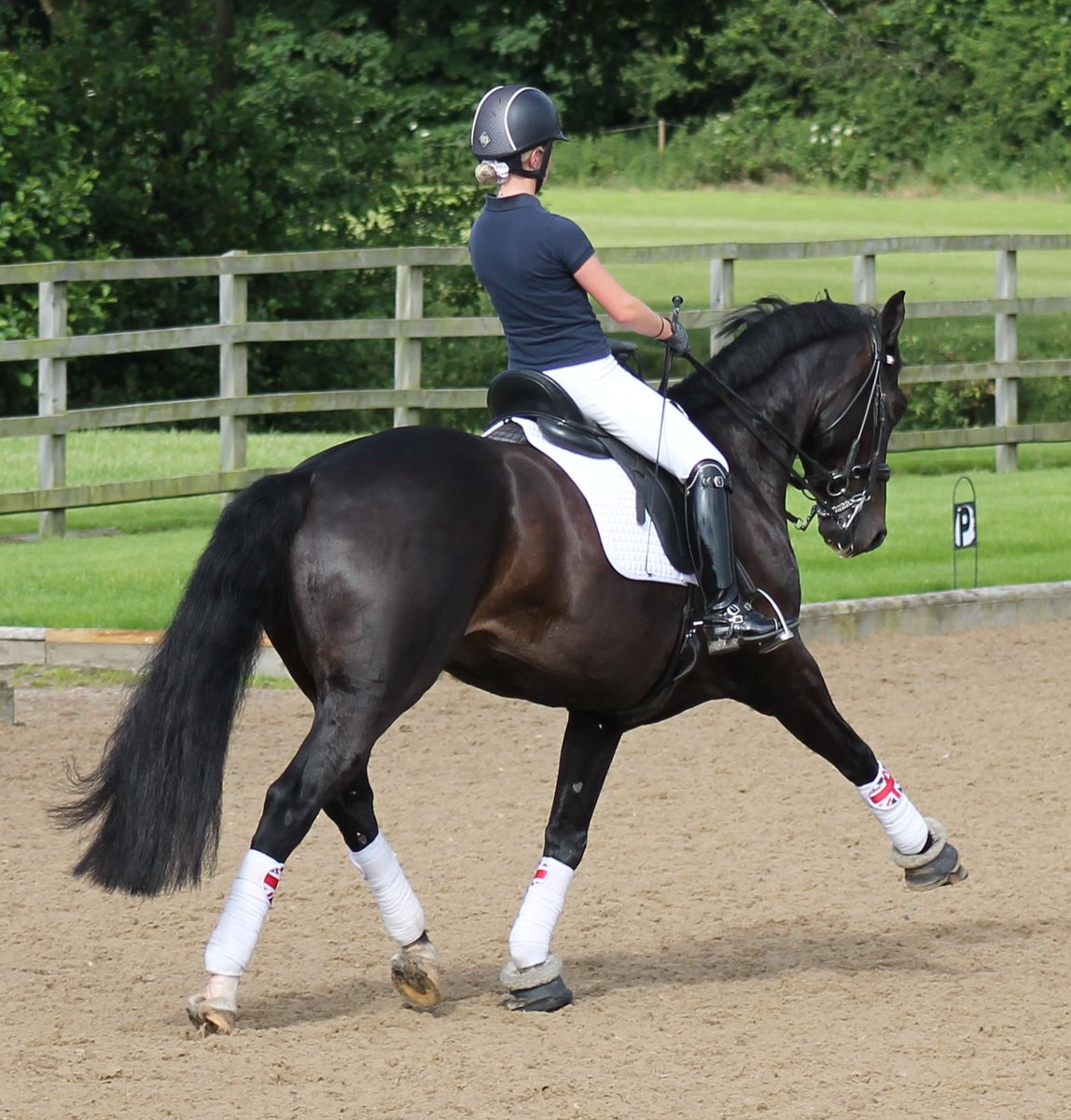 NEWS | Applications for <a href="/ThePonyClub/">The Pony Club</a> Talent Pathway have now opened!

bit.ly/2kouxY8