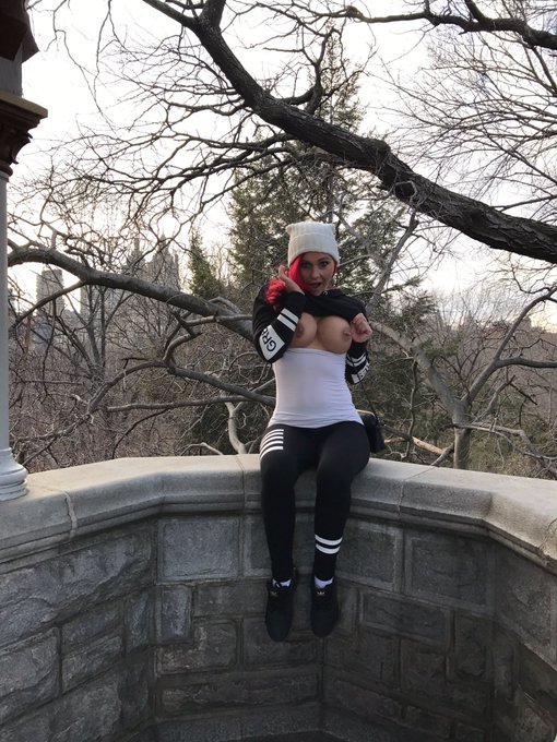 And a few from the famous Central Park. Didn't see anything like this in home alone 2🙈🙈 #CentralPark<a href="/tag/ny"class="tags"><span>#ny</span></a><a href="/tag/centralpark"class="tags"><span>#centralpark</span></a><a href="/tag/flashing"class="tags"><span>#flashing</span></a>