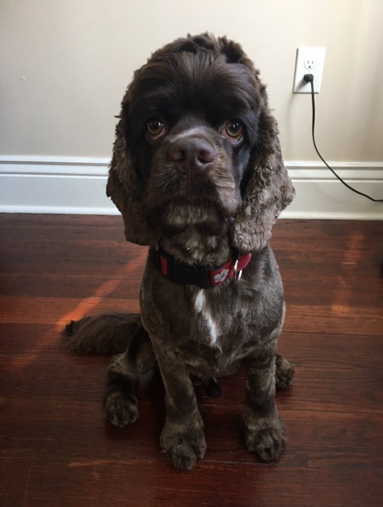 OGCORLIN's tweet photo. Frank Gallagher thinks he's slick https://t.co/Fs33C2FVU5