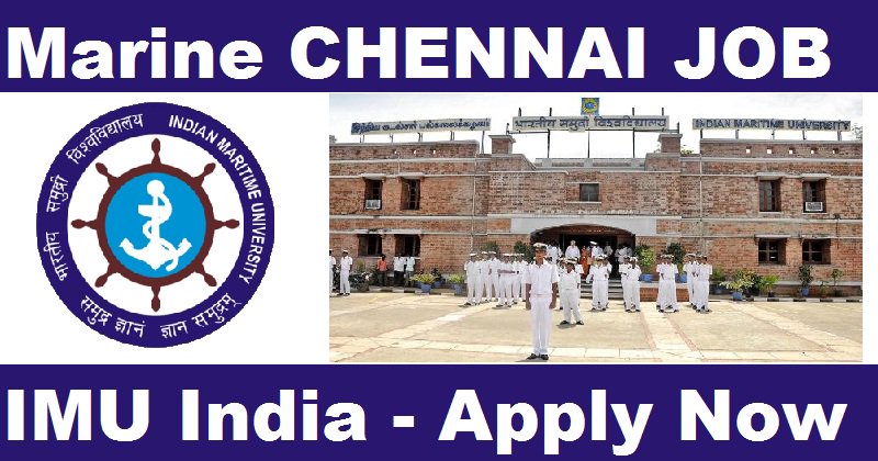 govtjobsdata's tweet photo. #IndianMaritimeUniversity Notification 

#IMUChennai Recruitment 2017 Indian Maritime University 78 #AssistantPosts

https://t.co/Af5xywN3Sq https://t.co/jQhdtriol9