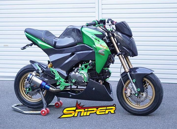 取扱店舗限定アイテム z125pro外装 | www.birbapet.it