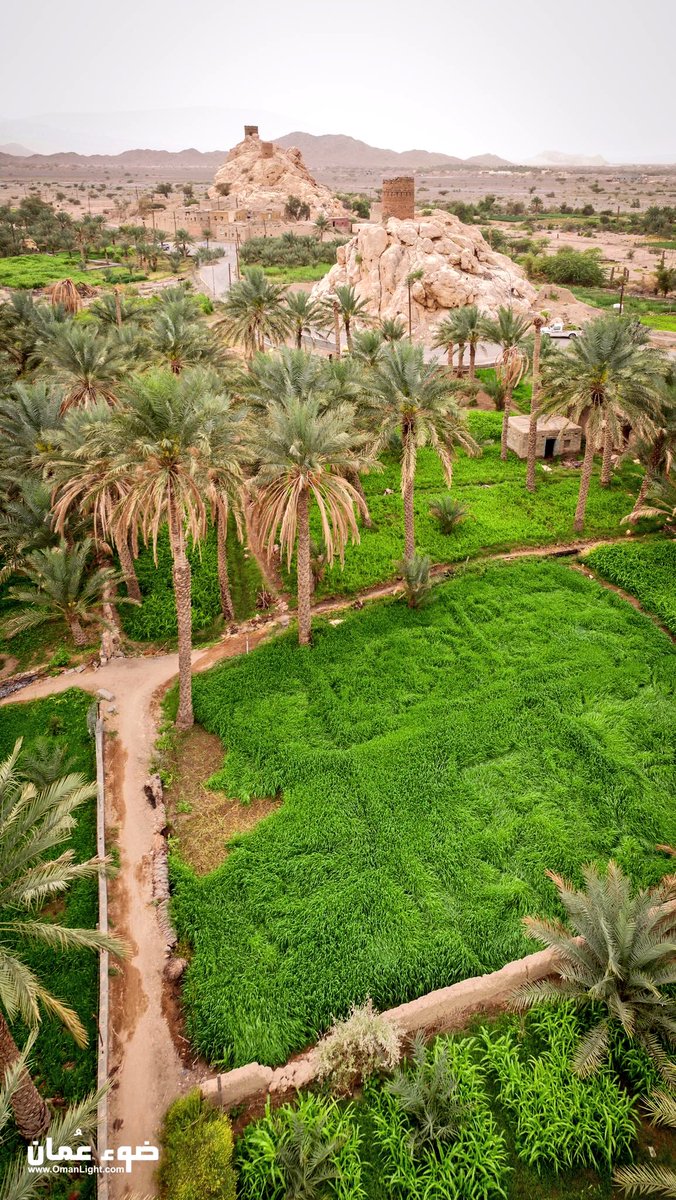 أجواء جميلة من #ولاية_إزكي - قلعة العوامر