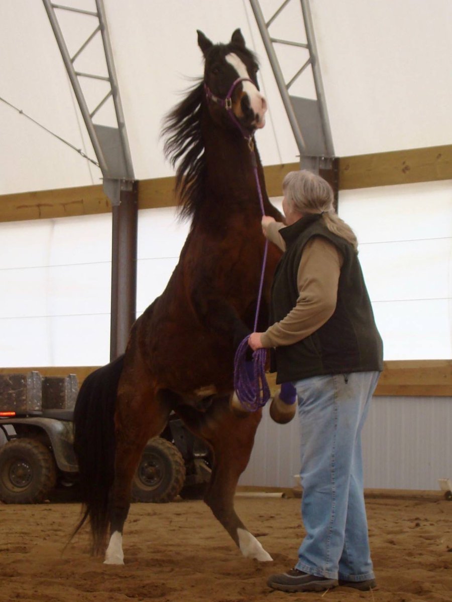 Linda VT tweet media