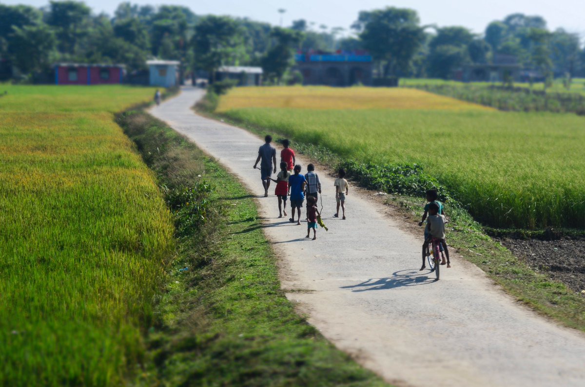TravelOra's tweet photo. An Indian village scene #travel #travelora #tiltshift #india #village #newjalpaiguri #siliguri #indianrailways https://t.co/46M9yFls6b