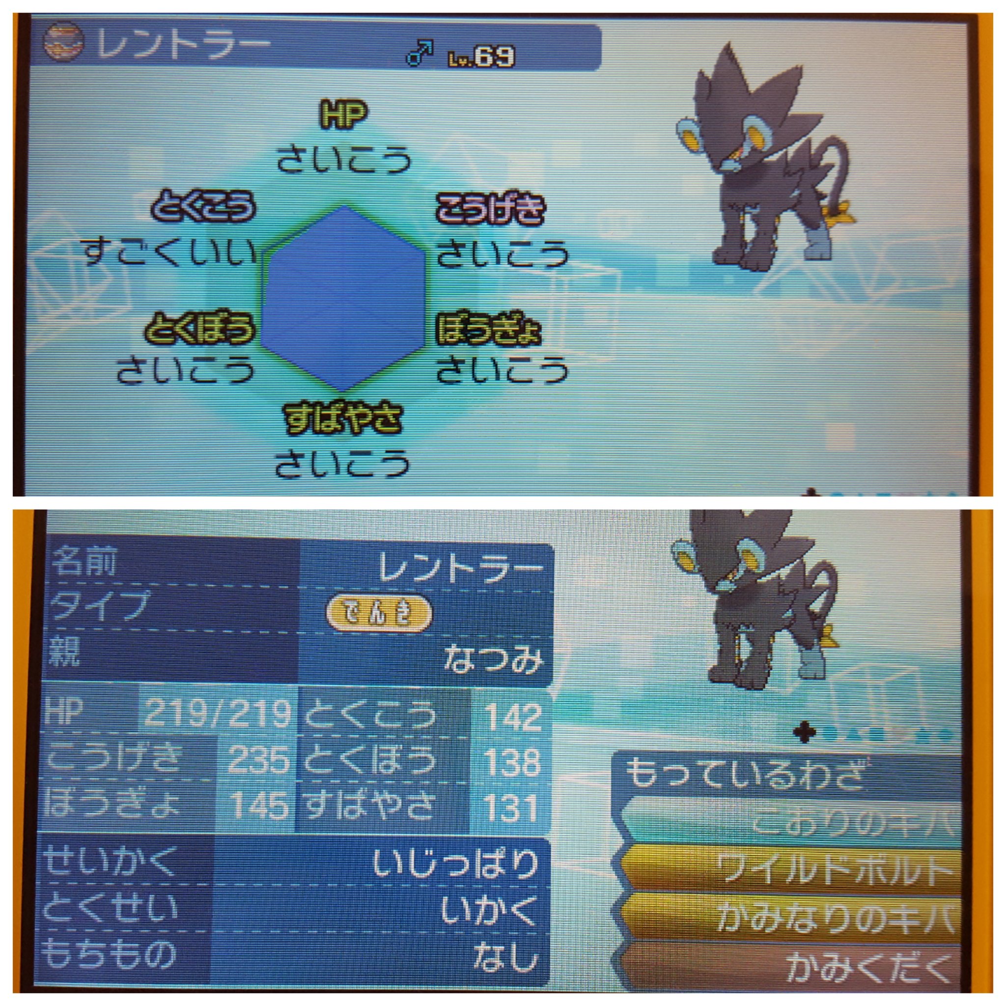 なつみるく 色違いコリンクが産まれたので残念ながら使うことのなくなったレントラーを配布します 絶対に使ってくれる方に差し上げようと思いますので ツイートからポケモンへの愛が感じられない方は外れるかもです 偏見です 笑 方法はこのツイートをrt