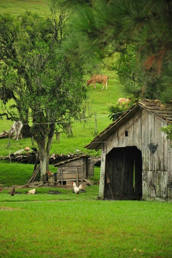 faysalyouness's tweet photo. G.🌹 #MorningExperience @TaxiToujours @1968Doo7 @khaledamigoelc1 @khidaouinabil3 @khiter_nour
Happy #FebruaryWithBlessings #friends https://t.co/C1v8uaFGbW