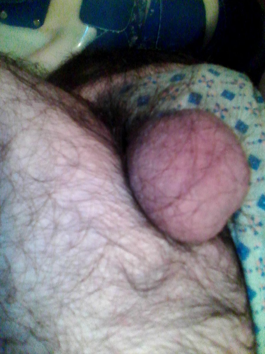 conmuchopelo's tweet photo. #webosafuera #underballs #bolaspeludas agachate y chupame las bolas,ahogate con mis huevos!!! https://t.co/R2EAoHGMem
