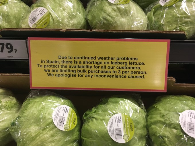 Ver imagem no Twitter