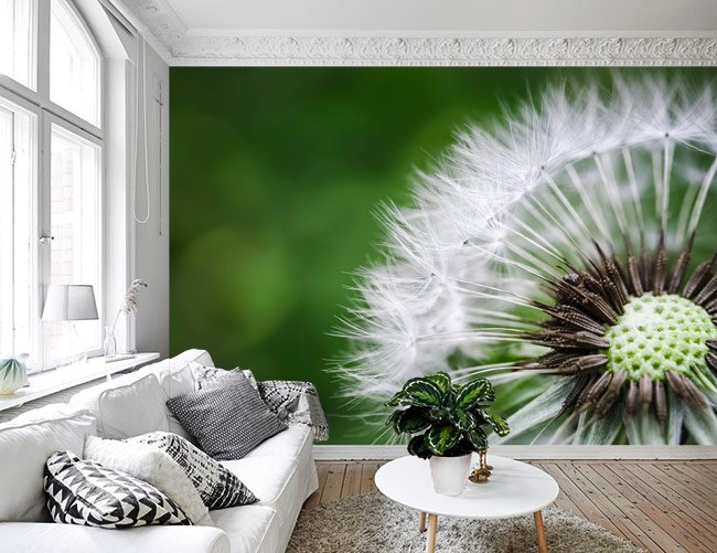 muurmode's tweet photo. De kleur van het jaar ´greenery' groen, een frisse, pittige kleur die je het hele jaar door een lentegevoel geeft. https://t.co/mpbypV4BEw https://t.co/87koJvF9xj