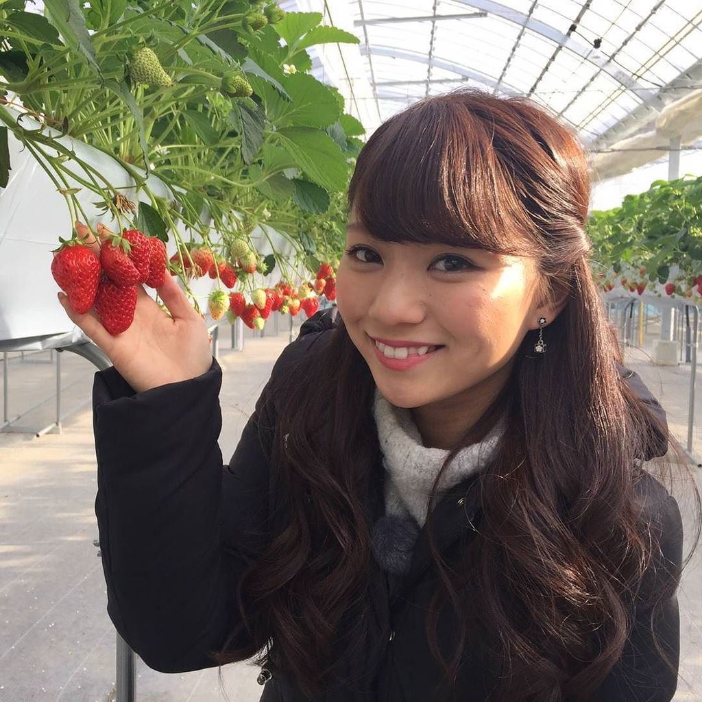Eo光チャンネル على تويتر 今日のmineo中継は 兵庫県西脇市にある ベリーベリーファーム西脇でイチゴ狩りをご紹介 とっても甘くてジューシー ベリーベリーファーム西脇 いちご狩り 西脇市 石塚理奈 T Co Glvcs1gk5u