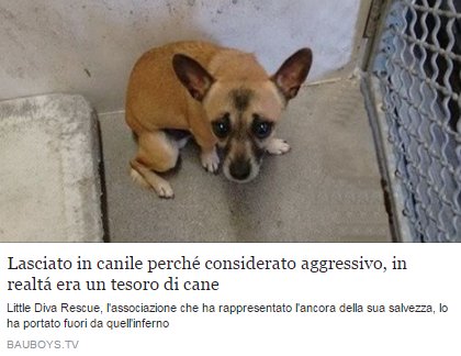 Gli è stata data la possibilità di riscattarsi, anche se le cose non si erano messe bene per lui... bauboys.tv/lasciato-in-ca…