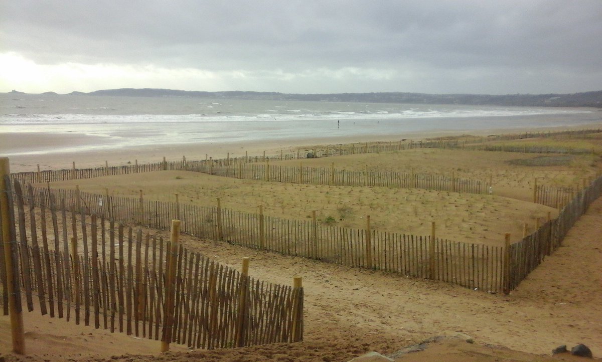 Coastal dune protection <a href="/VisitSwanseaBay/">Visit Swansea Bay</a> <a href="/SwanseaCouncil/">Swansea Council</a> - Holding up well! @geogfieldwork <a href="/swanseageog/">Swansea Geography</a>