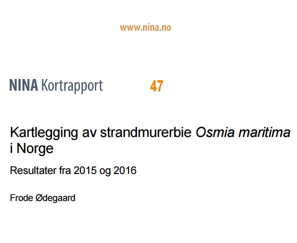 NINAforskning's tweet photo. Ny NINA kortrapport ute i dag: Kartlegging av strandmurerbie Osmia maritima i Norge. Resultater fra 2015 og 2016. https://t.co/ixQdj6HuRf https://t.co/0N1KNYthdB