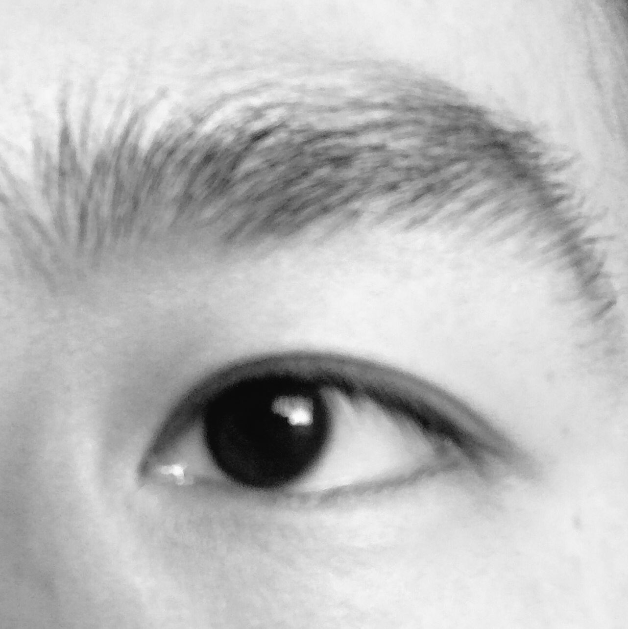Nakajin 僕の瞼は基本一重なんですが 体調悪化により一時的に二重になるという特異な奴でして 1週間ほど前に一度二重に なった左眼が戻らぬまま名古屋に到着 体は既に絶好調だし いつもならこんなに Nakajin 僕の瞼は基本一重なんですが 体調悪化により一時的に二重になるという特異な奴でして 1週間ほど前に一度二重に なった左眼が戻らぬまま名古屋に到着 体は既に絶好調だし いつもならこんなに