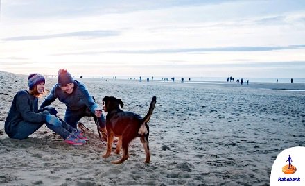 Rabobank's tweet photo. Rabobank sluit directe financiering van gaswinning onder Waddenzee uit in aangescherpt klimaatbeleid:https://t.co/G2r47B6jBH https://t.co/jtTY7kpyQP
