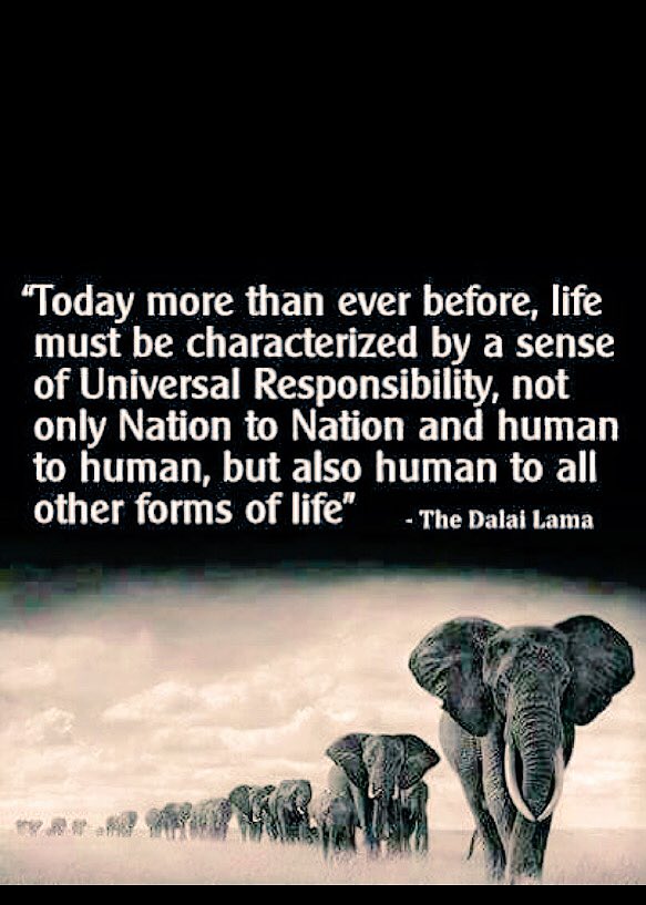 🌻Stephanie THEE Noel Kirlin³³º¹🐳🛹💛🥁#DemCast tweet media