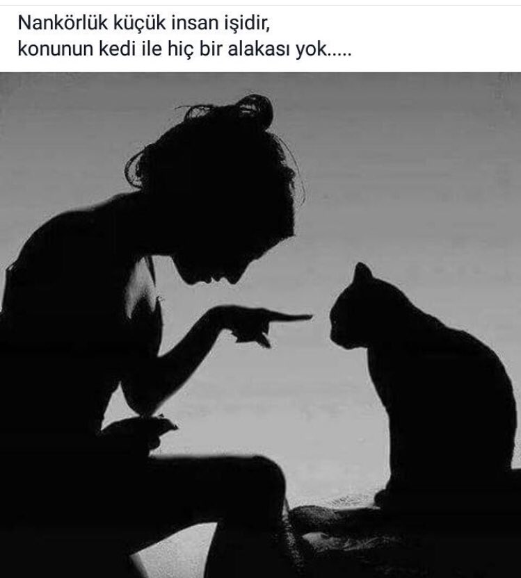 AliGurlevik's tweet photo. https://t.co/qtJHL27Yxk