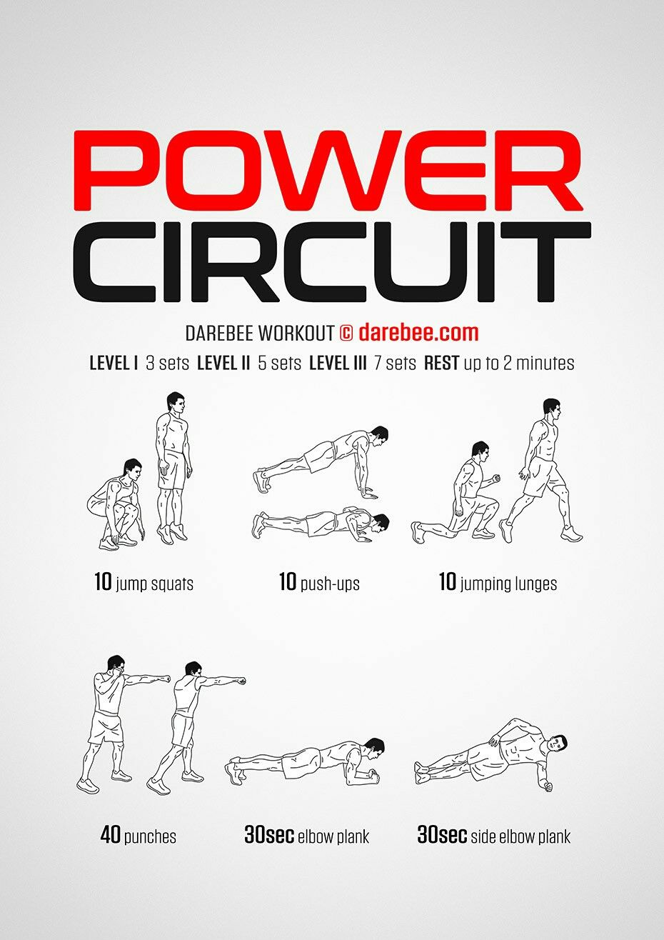 Circuit fitness rower shop