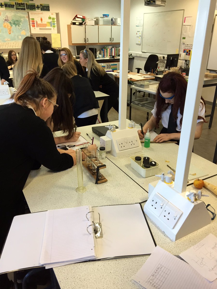 PortyScience's tweet photo. National Biology pupils investigating the catalase concentration in different tissues! #brilliantclass https://t.co/YwPC5N8En2