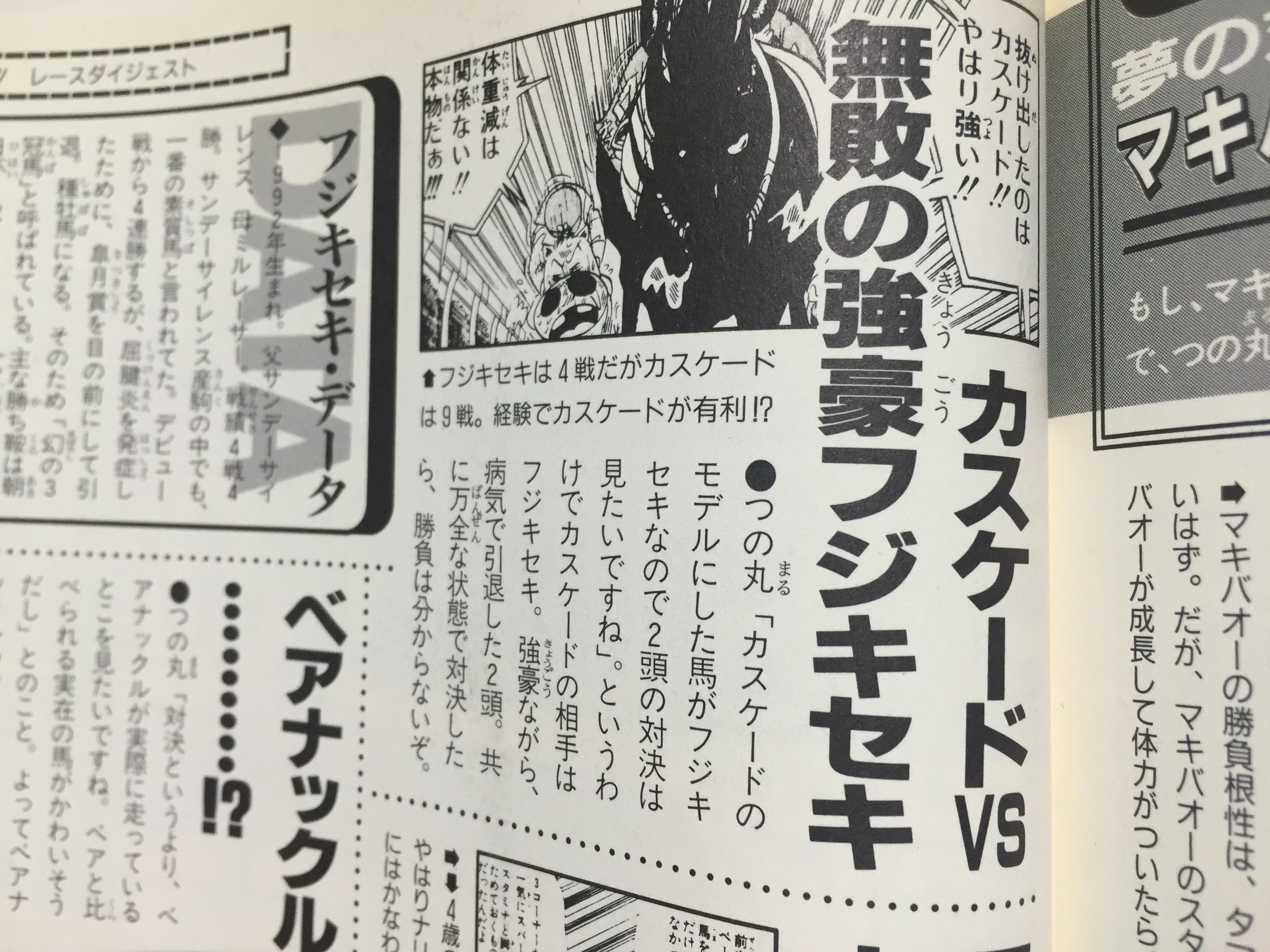 Kajiko マキバオーのモデルはタマモクロス カスケードのモデルはフジキセキ マキバオー豆知識 T Co V2fitzerxk Twitter