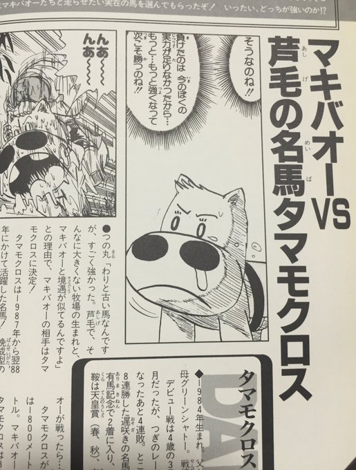 ウマ娘 マキバオーのモデルとなったタマモクロス マキバオーコラボはあり得るのか ウマ娘プラス
