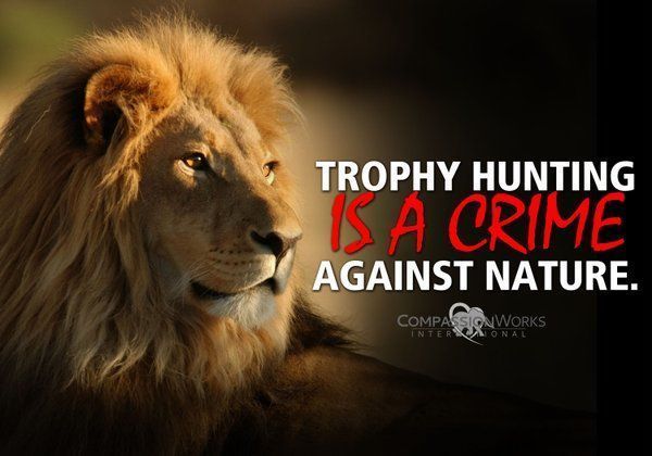 His life is worth more than a trophy. RT if U agree!

HELP: rallyforcecil.org
#BanTrophyHunting
