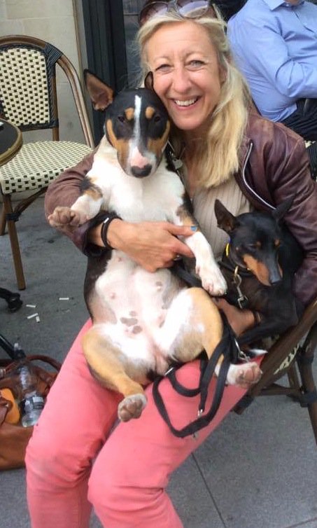 GoodVetPetGuide's tweet image. Living with a Mini-Bull Terrier - one of the Kennel Club’s 23 vulnerable British breeds #dogs
by @BarkingBlondes bit.ly/2b2jAqu