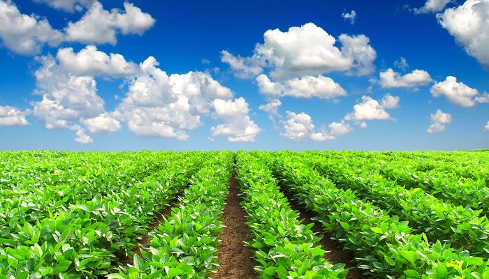 AgFunder's tweet photo. New report offers insight into the role that lighting devices &amp; #hydroponics play in #vertical #farming https://t.co/fWmEYaBaOt https://t.co/2DeHCbFoCW