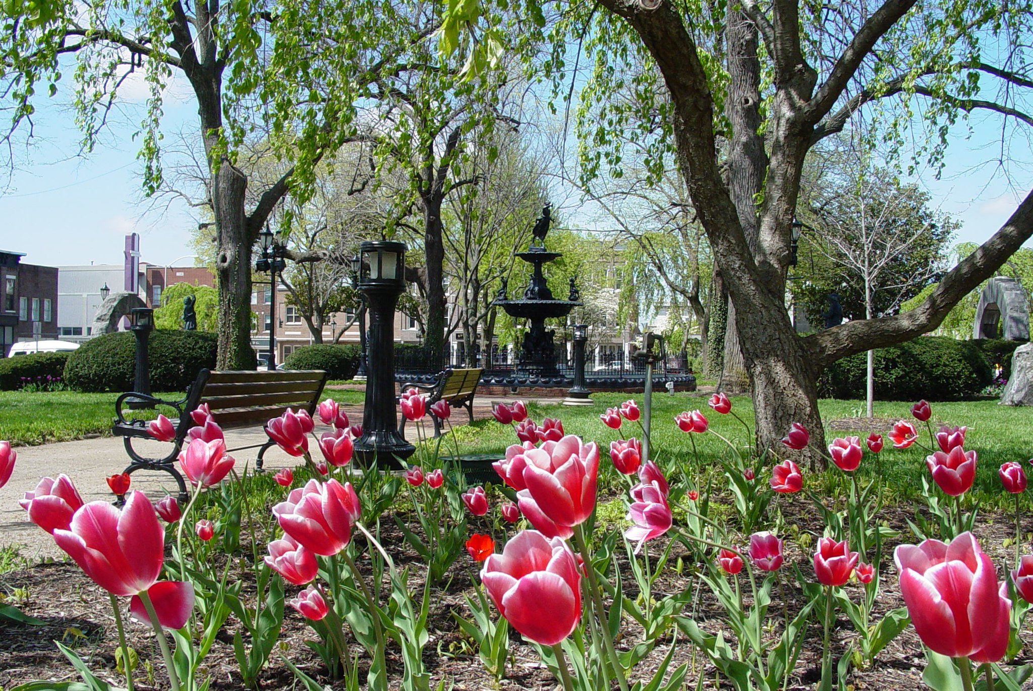 Bowling Green KY on Twitter: "Check out beautiful Fountain ...