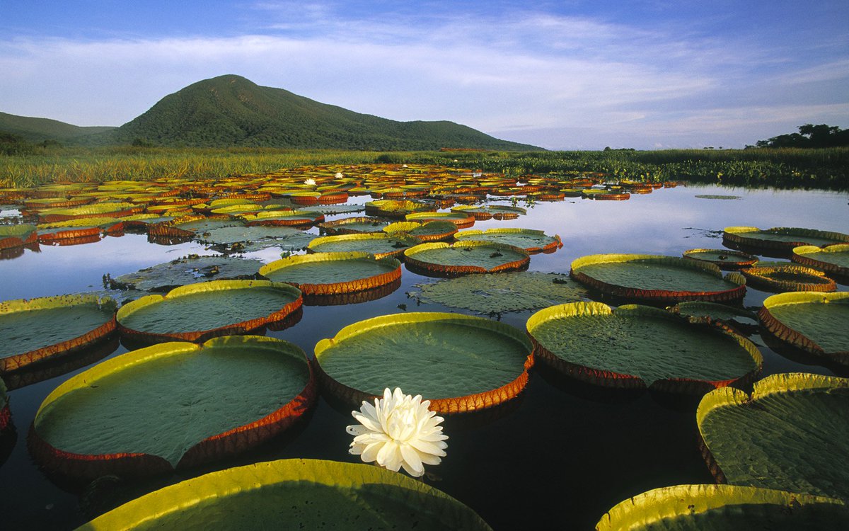 Brasilia!

Take a Nature trip to Brazil and get lost in the beautiful scenary.  20% off hotel bookings for the next 2 weeks!