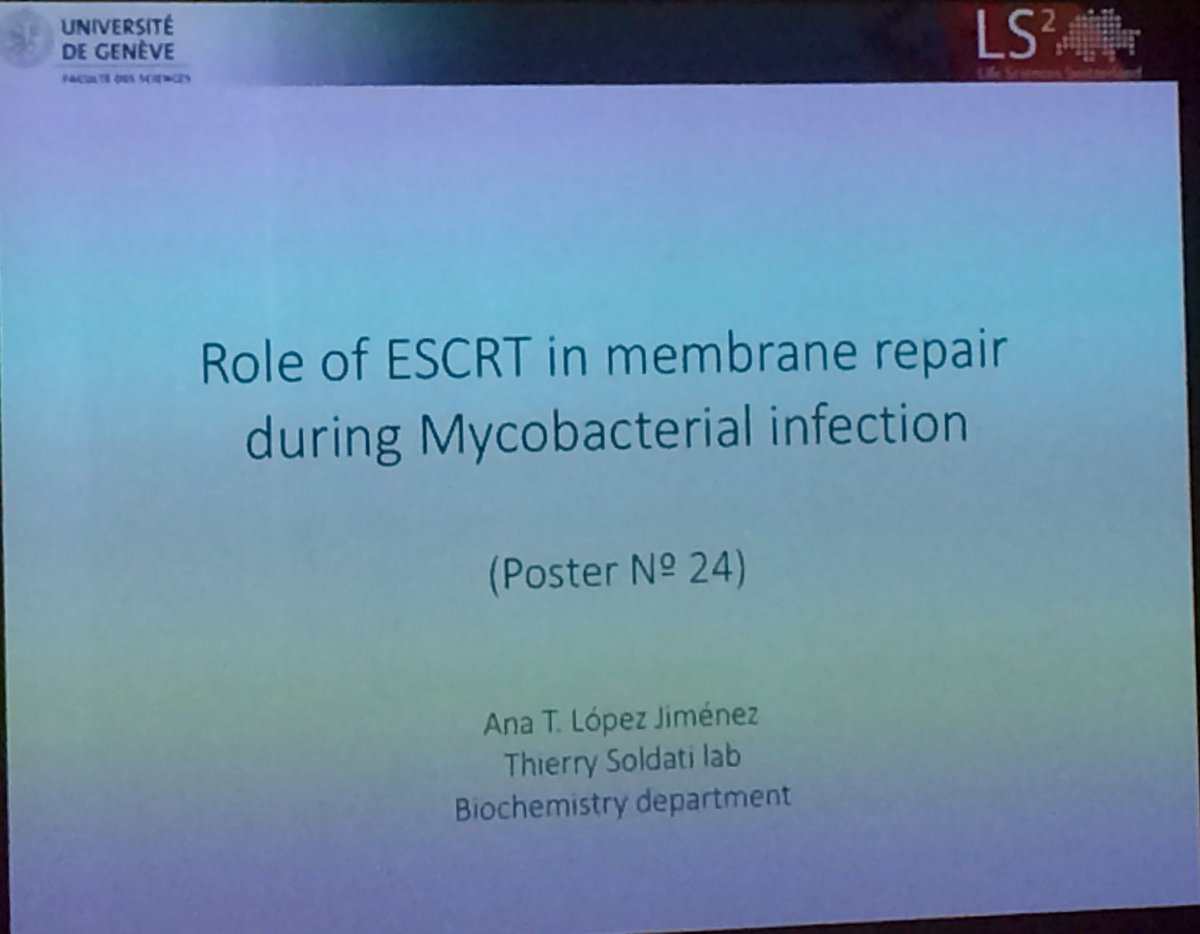 SoldatiLab's tweet photo. Flash talk at #LS2_2017 of our PhD student AT Lopez. ESCRT and membrane repair during mycobacterial #infection. @unige_en @LS2Switzerland https://t.co/vJ2py1VMNf