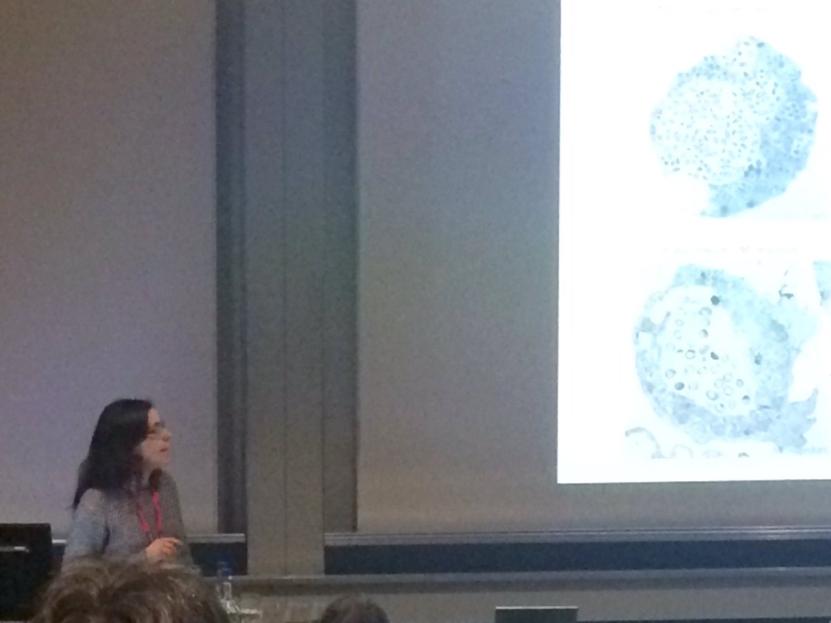 SoldatiLab's tweet photo. Flash talk at #LS2_2017 of our PhD student AT Lopez. ESCRT and membrane repair during mycobacterial #infection. @unige_en @LS2Switzerland https://t.co/vJ2py1VMNf