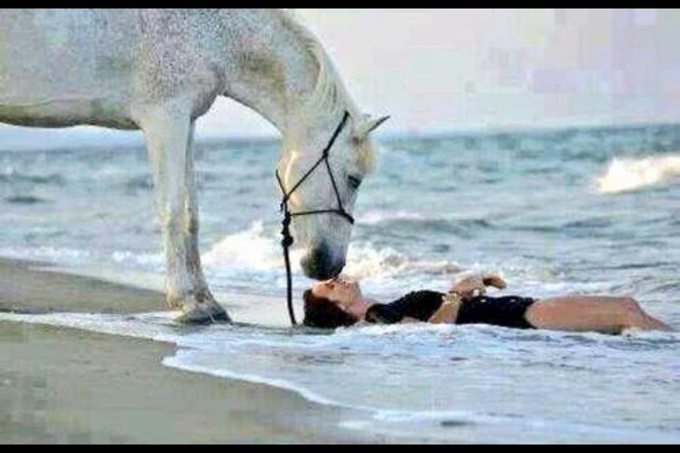 smart1800's tweet image. 