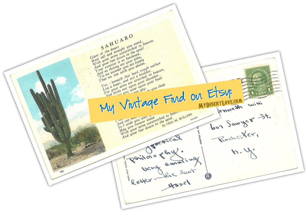 A Sahuaro Poem mydesertlove.com/2017/02/a-sahu…