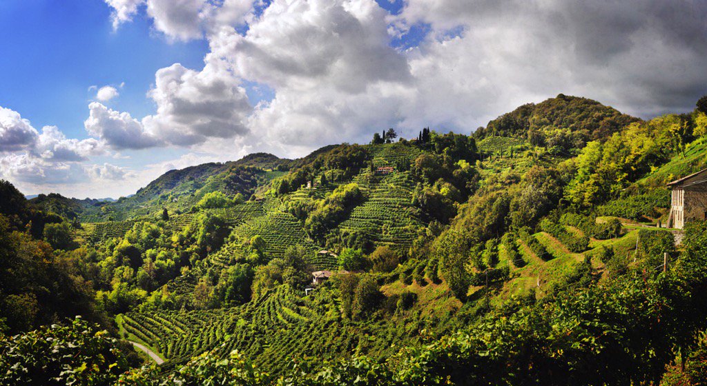 WineNews (@winenewsit) on Twitter photo Progetto #vino #arte <a href="/ProseccoCV/">Prosecco Superiore</a> si unisce ad altro di #bellezza: colline #ConeglianoValdobbiadene candidate <a href="/UNESCO/">UNESCO 🏛️ #Education #Sciences #Culture 🇺🇳</a> Progetto #vino #arte <a href="/ProseccoCV/">Prosecco Superiore</a> si unisce ad altro di #bellezza: colline #ConeglianoValdobbiadene candidate <a href="/UNESCO/">UNESCO 🏛️ #Education #Sciences #Culture 🇺🇳</a>
