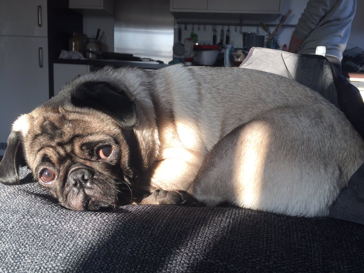 ebssjohnson's tweet image. Happy 1st birthday little man, love u ❤