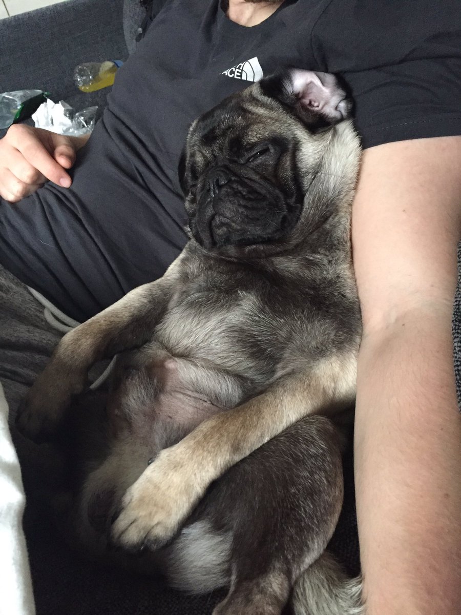 ebssjohnson's tweet image. Happy 1st birthday little man, love u ❤