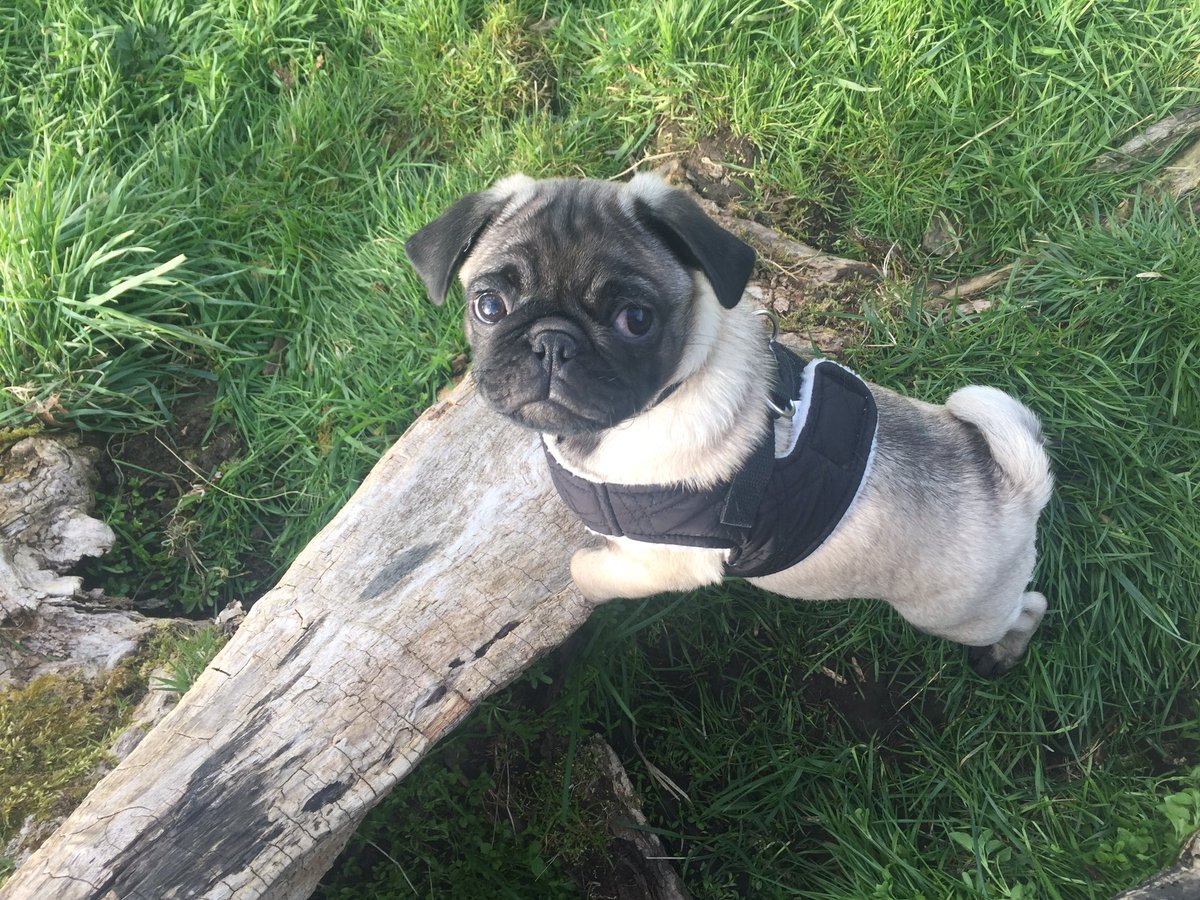 ebssjohnson's tweet image. Happy 1st birthday little man, love u ❤